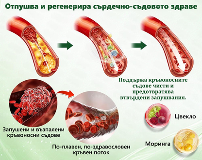 👩‍⚕️ 𝐂𝐨𝐚𝐮𝐨𝐨® 𝐌𝐨𝐫𝐢𝐧𝐠𝐚 × 𝐁𝐞𝐫𝐛𝐞𝐫𝐲𝐧𝐚 × 𝐀𝐌𝐏𝐊 𝟏𝟎 в 𝟏 – Нано микроиглен пластир за отслабване|Само 𝟏× дневно ✅ Видими промени за 𝟕 дни – при затлъстяване, сърдечно-съдово здраве, диабет и ставни проблеми