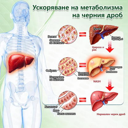 👩‍⚕️ 𝐂𝐨𝐚𝐮𝐨𝐨® 𝐌𝐨𝐫𝐢𝐧𝐠𝐚 × 𝐁𝐞𝐫𝐛𝐞𝐫𝐲𝐧𝐚 × 𝐀𝐌𝐏𝐊 𝟏𝟎 в 𝟏 – Нано микроиглен пластир за отслабване|Само 𝟏× дневно ✅ Видими промени за 𝟕 дни – при затлъстяване, сърдечно-съдово здраве, диабет и ставни проблеми
