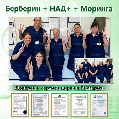 👩‍⚕️ 𝐂𝐨𝐚𝐮𝐨𝐨® 𝐌𝐨𝐫𝐢𝐧𝐠𝐚 × 𝐁𝐞𝐫𝐛𝐞𝐫𝐲𝐧𝐚 × 𝐀𝐌𝐏𝐊 𝟏𝟎 в 𝟏 – Нано микроиглен пластир за отслабване|Само 𝟏× дневно ✅ Видими промени за 𝟕 дни – при затлъстяване, сърдечно-съдово здраве, диабет и ставни проблеми