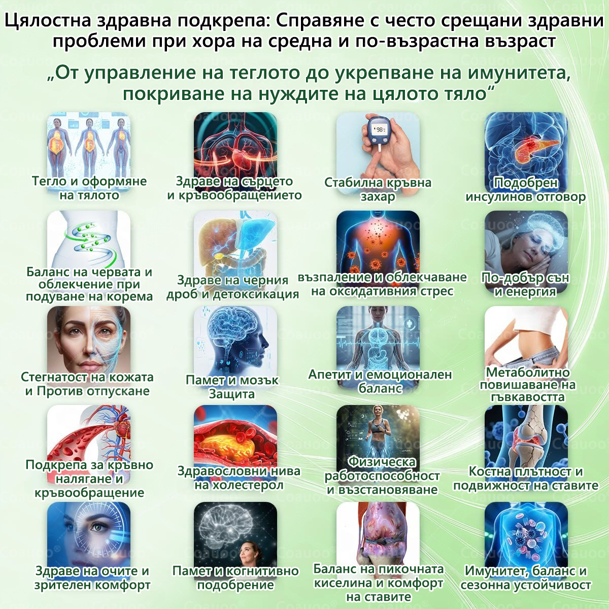 👩‍⚕️ 𝐂𝐨𝐚𝐮𝐨𝐨® 𝐌𝐨𝐫𝐢𝐧𝐠𝐚 × 𝐁𝐞𝐫𝐛𝐞𝐫𝐲𝐧𝐚 × 𝐀𝐌𝐏𝐊 𝟏𝟎 в 𝟏 – Нано микроиглен пластир за отслабване|Само 𝟏× дневно ✅ Видими промени за 𝟕 дни – при затлъстяване, сърдечно-съдово здраве, диабет и ставни проблеми