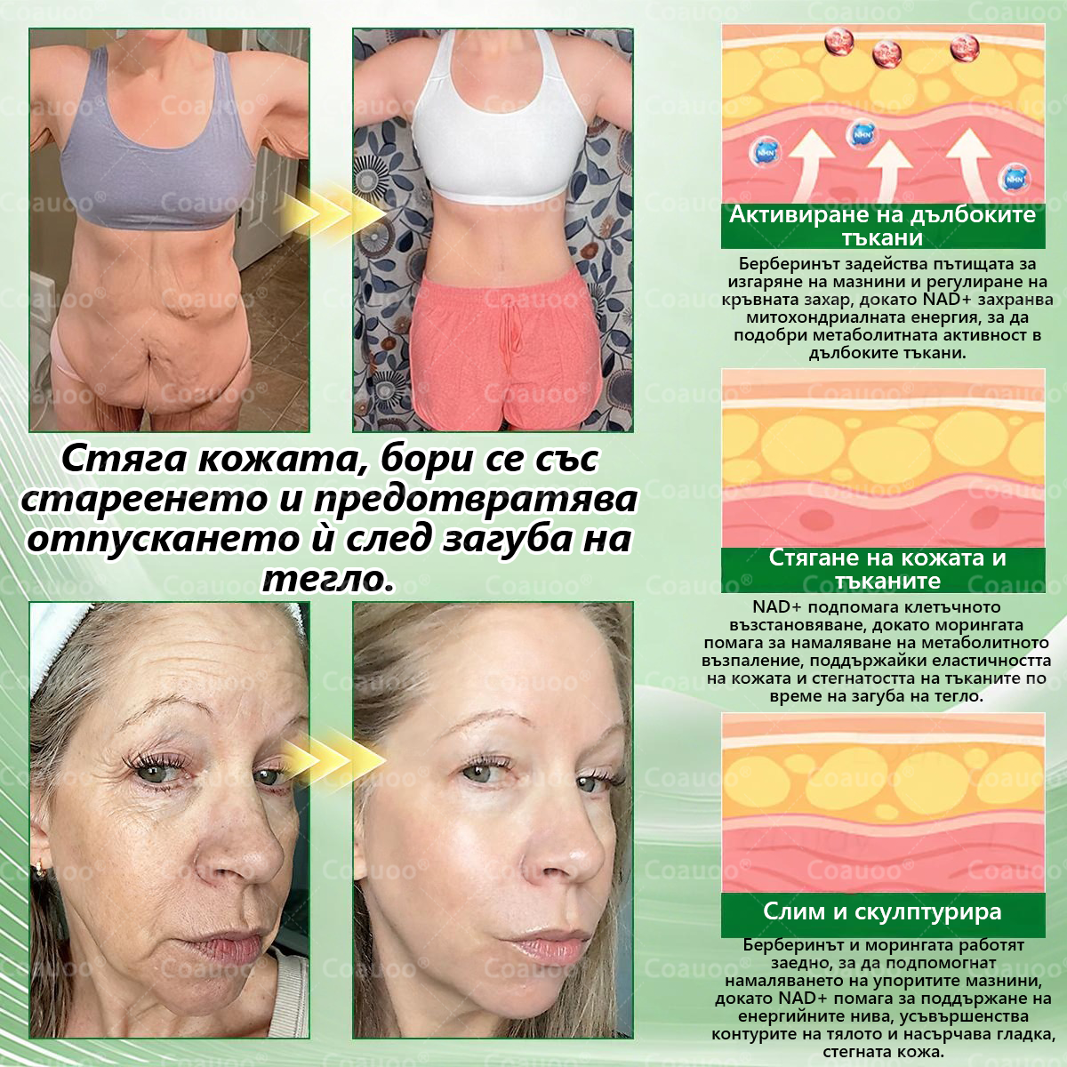 👩‍⚕️ 𝐂𝐨𝐚𝐮𝐨𝐨® 𝐌𝐨𝐫𝐢𝐧𝐠𝐚 × 𝐁𝐞𝐫𝐛𝐞𝐫𝐲𝐧𝐚 × 𝐀𝐌𝐏𝐊 𝟏𝟎 в 𝟏 – Нано микроиглен пластир за отслабване|Само 𝟏× дневно ✅ Видими промени за 𝟕 дни – при затлъстяване, сърдечно-съдово здраве, диабет и ставни проблеми